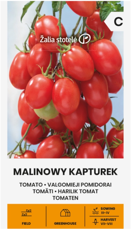 Pomidor Malinowy Kapturek odmiana bardzo plenna o smacznych owocach nasiona 0,1g Žalia stotelė sklep rajogrodnika